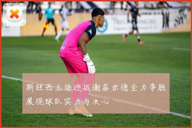 斯旺西主场迎战谢菲尔德全力争胜展现球队实力与决心
