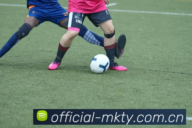 mk体育平台生态图